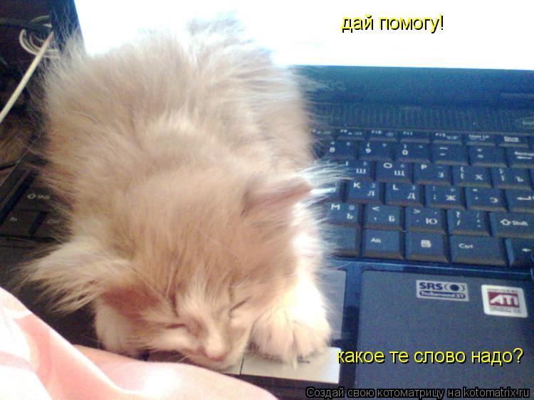 дай помогу! какое те слово надо?... Котоматрица: дай помогу! какое те слово надо?