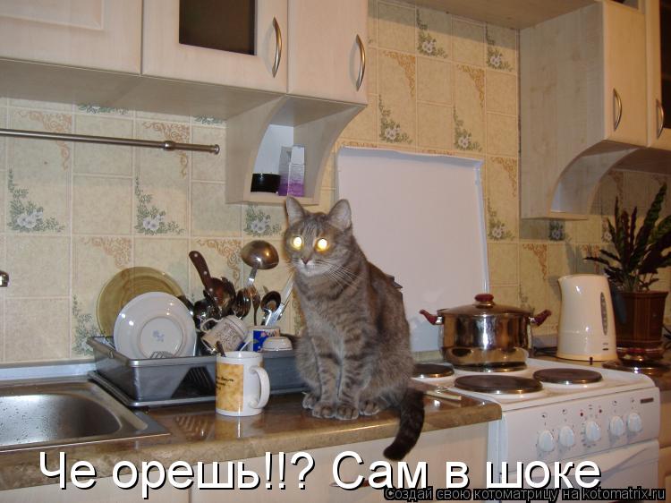 Че орешь!!? Сам в шоке... Котоматрица: Че орешь!!? Сам в шоке