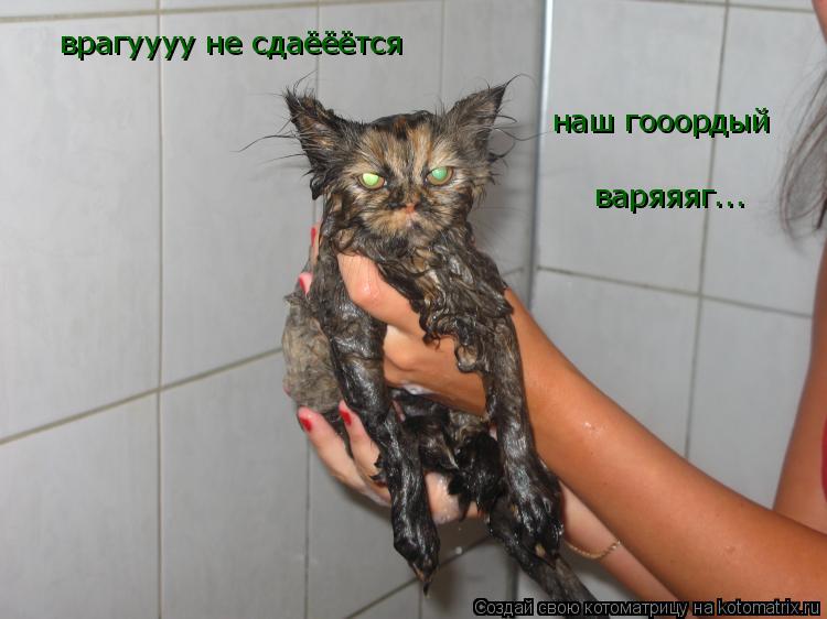 наш гооордый варяяяг... врагуууу не сдаёёётся... Котоматрица: наш гооордый варяяяг... врагуууу не сдаёёётся