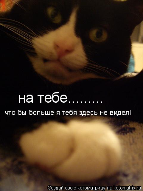 на тебе......... что бы больше я тебя здесь не видел!... Котоматрица: на тебе......... что бы больше я тебя здесь не видел!