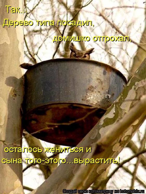 осталось жениться и сына того-этого...вырастить! Так... Дерево типа посадил, домишко отгрохал,... Котоматрица: осталось жениться и сына того-этого...вырастить! Так... Дерево типа посадил, домишко отгрохал,