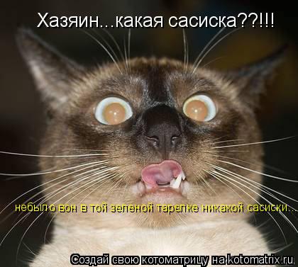 Хазяин...какая сасиска??!!! небыло вон в той зеленой тарелке никакой сасиски...... Котоматрица: Хазяин...какая сасиска??!!! небыло вон в той зеленой тарелке никакой сасиски...