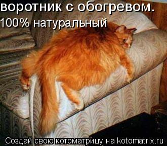 воротник с обогревом. 100% натуральный... Котоматрица: воротник с обогревом. 100% натуральный