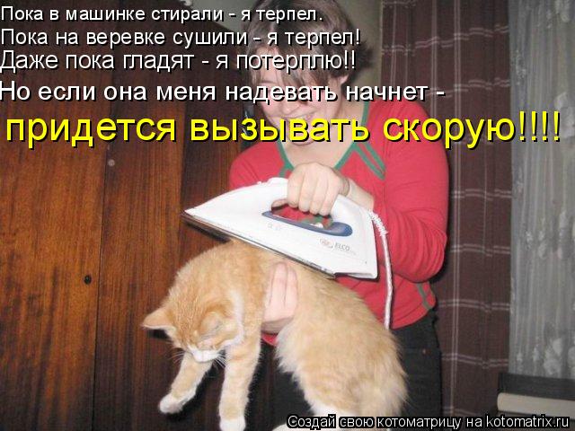 Пока в машинке стирали - я терпел. Пока на веревке сушили - я терпел! Даже пока гладят - я потерплю!!... Котоматрица: Пока в машинке стирали - я терпел. Пока на веревке сушили - я терпел! Даже пока гладят - я потерплю!! Но если она меня надевать начнет - придетс
