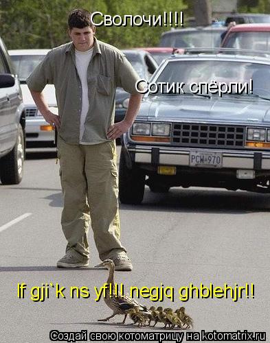 Сволочи!!!! Сотик спёрли! lf gji`k ns yf!!! negjq ghblehjr!!... Котоматрица: Сволочи!!!! Сотик спёрли! lf gji`k ns yf!!! negjq ghblehjr!!