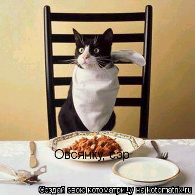 Овсянку, сэр... Котоматрица: Овсянку, сэр