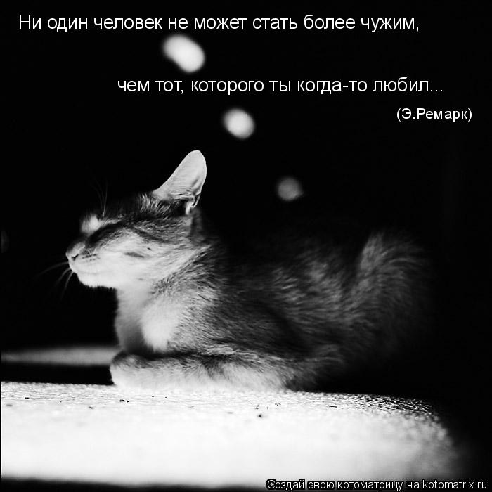 Котоматрица: Ни один человек не может стать более чужим, чем тот, которого ты когда-то любил... (Э.Ремарк)