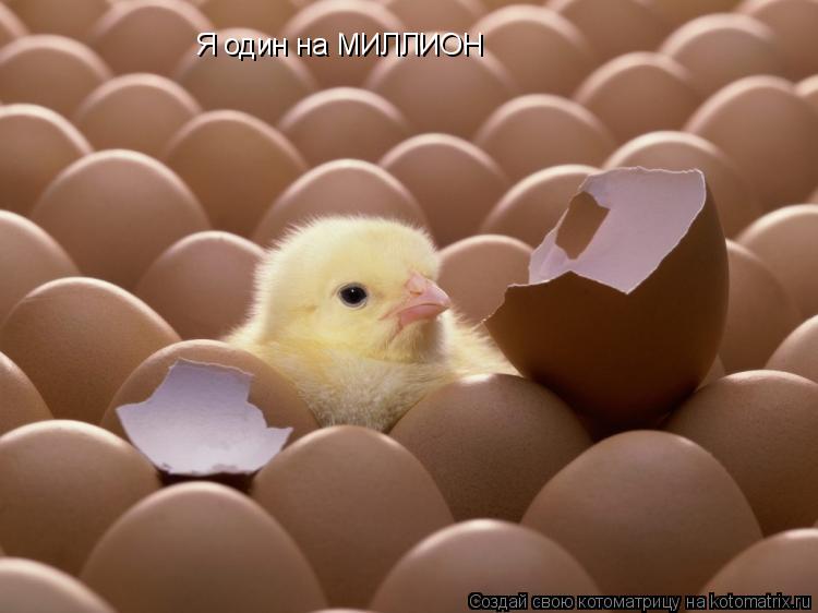 Я один на МИЛЛИОН... Котоматрица: Я один на МИЛЛИОН