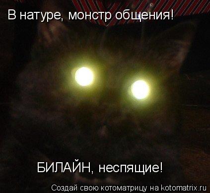 В натуре, монстр общения! БИЛАЙН, неспящие!... Котоматрица: В натуре, монстр общения! БИЛАЙН, неспящие!