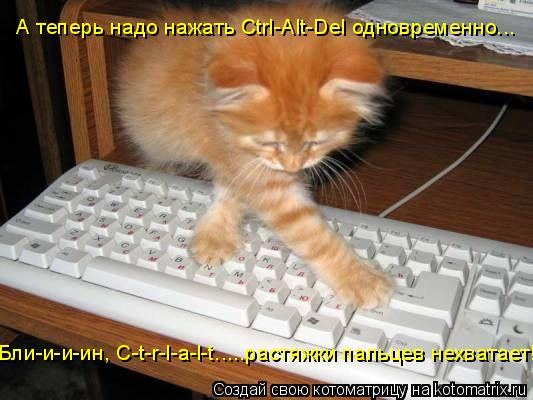 А теперь надо нажать Ctrl-Alt-Del одновременно... Бли-и-и-ин, C-t-r-l-a-l-t.....растяжки пальцев нехв... Котоматрица: А теперь надо нажать Ctrl-Alt-Del одновременно... Бли-и-и-ин, C-t-r-l-a-l-t.....растяжки пальцев нехватает!