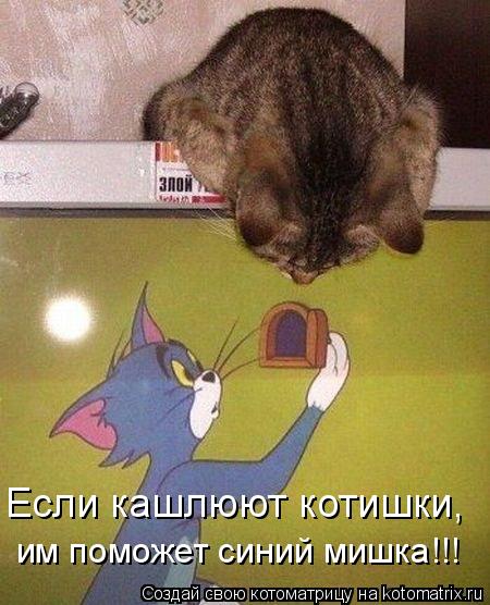 Котоматрица: Если кашлюют котишки,  им поможет синий мишка!!!