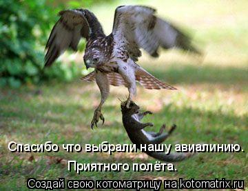 Спасибо что выбрали нашу авиалинию. Приятного полёта.... Котоматрица: Спасибо что выбрали нашу авиалинию. Приятного полёта.