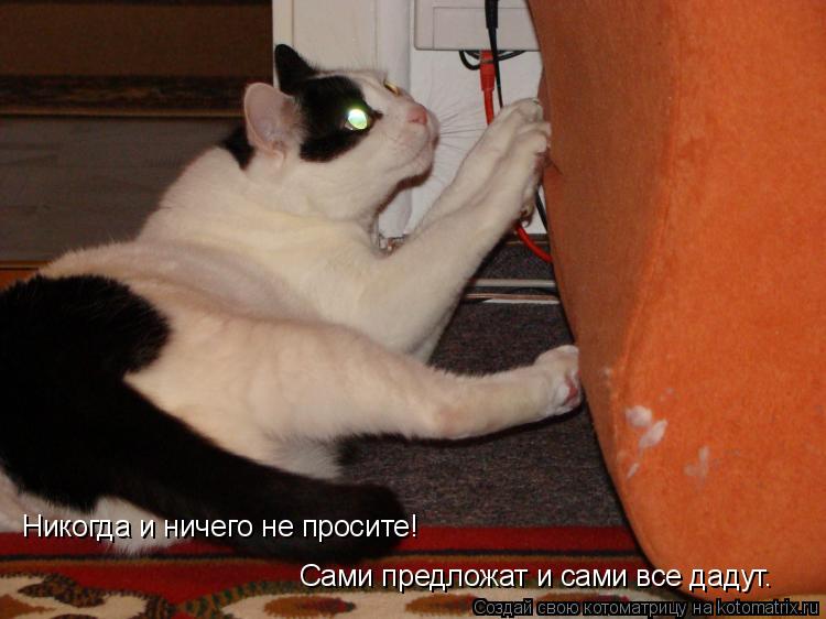 Сами предложат и сами все дадут. Никогда и ничего не просите!... Котоматрица: Сами предложат и сами все дадут. Никогда и ничего не просите!