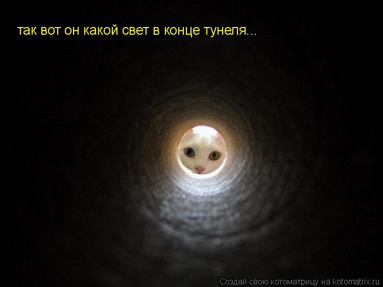 так вот он какой свет в конце тунеля...... Котоматрица: так вот он какой свет в конце тунеля...