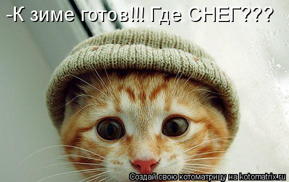 -К зиме готов!!! Где СНЕГ???... Котоматрица: -К зиме готов!!! Где СНЕГ???