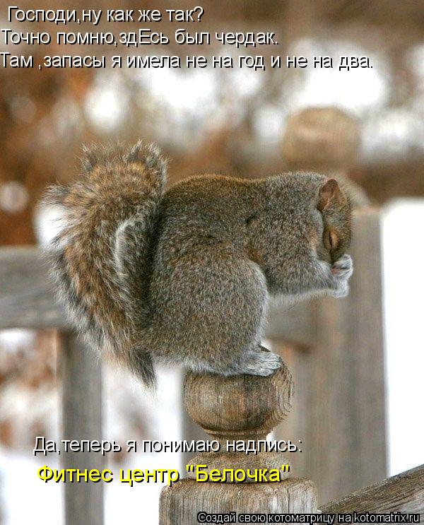 Господи,ну как же так? Точно помню,здЕсь был чердак. Там ,запасы я имела не на год и не на два. Да,те... Котоматрица: Господи,ну как же так? Точно помню,здЕсь был чердак. Там ,запасы я имела не на год и не на два. Да,теперь я понимаю надпись: Фитнес центр "Белоч