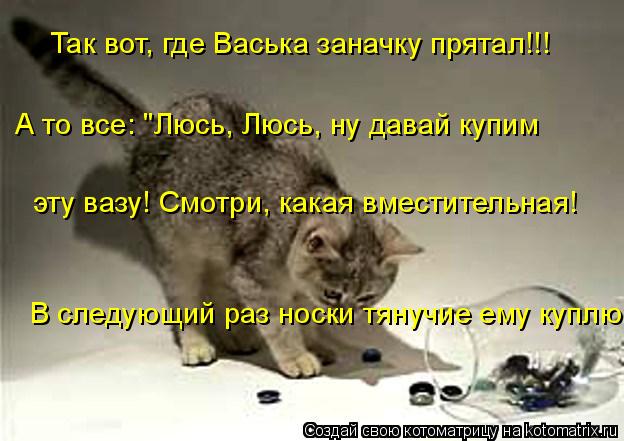 Так вот, где Васька заначку прятал!!! А то все: "Люсь, Люсь, ну давай купим эту вазу! Смотри, какая ... Котоматрица: Так вот, где Васька заначку прятал!!! А то все: "Люсь, Люсь, ну давай купим эту вазу! Смотри, какая вместительная! В следующий раз носки тянучие