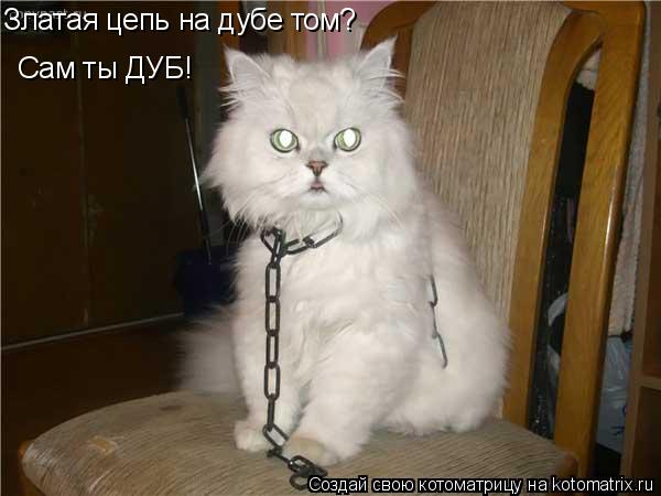 Златая цепь на дубе том? Сам ты ДУБ!... Котоматрица: Златая цепь на дубе том? Сам ты ДУБ!