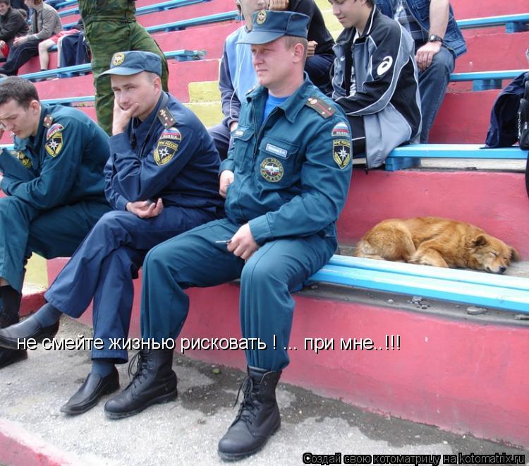 не смейте жизнью рисковать ! ... при мне..!!!... Котоматрица: не смейте жизнью рисковать ! ... при мне..!!!