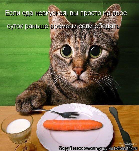 Если еда невкусная, вы просто на двое суток раньше времени сели обедать... Котоматрица: Если еда невкусная, вы просто на двое суток раньше времени сели обедать