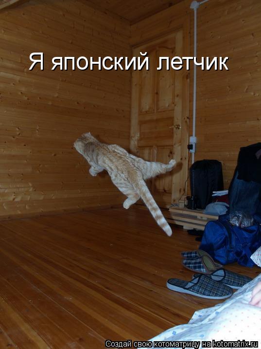 Я японский летчик... Котоматрица: Я японский летчик