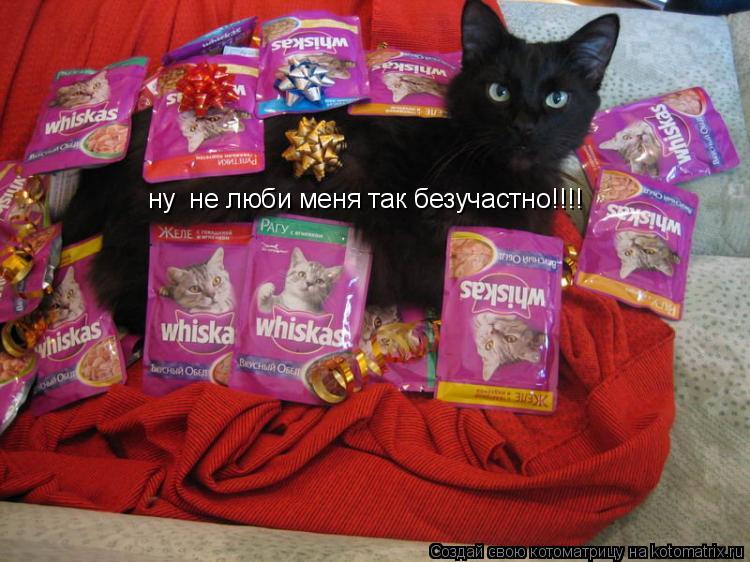 ну не люби меня так безучастно!!!!... Котоматрица: ну не люби меня так безучастно!!!!