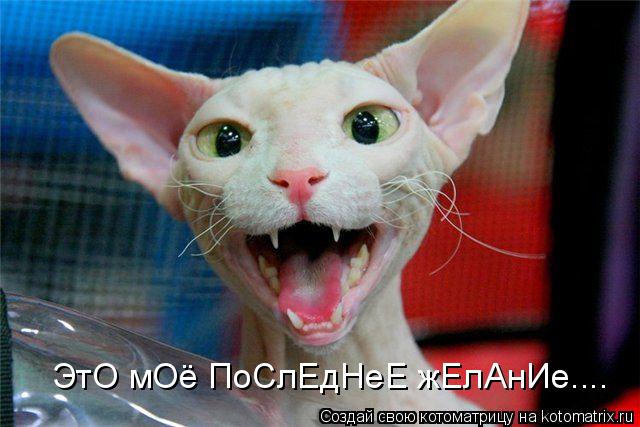 ЭтО мОё ПоСлЕдНеЕ жЕлАнИе....... Котоматрица: ЭтО мОё ПоСлЕдНеЕ жЕлАнИе....