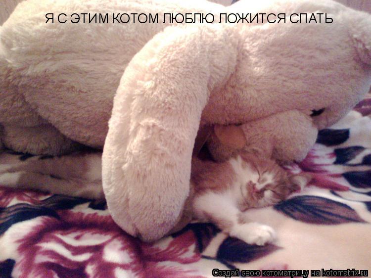 Котоматрица: Я С ЭТИМ КОТОМ ЛЮБЛЮ ЛОЖИТСЯ СПАТЬ