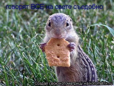 говорят ВСЕ на свете съедобно... Котоматрица: говорят ВСЕ на свете съедобно