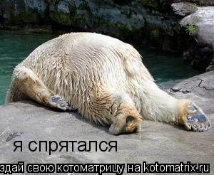 я спрятался... Котоматрица: я спрятался