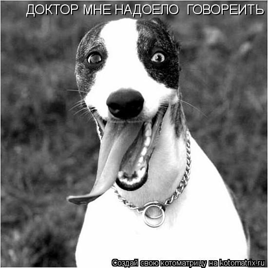 ДОКТОР МНЕ НАДОЕЛО ГОВОРЕИТЬ... Котоматрица: ДОКТОР МНЕ НАДОЕЛО ГОВОРЕИТЬ
