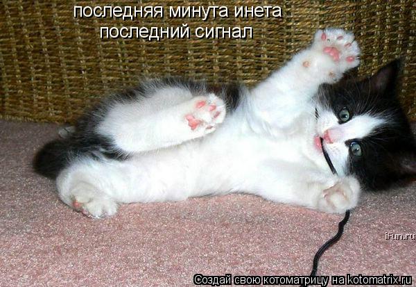 последняя минута инета последний сигнал... Котоматрица: последняя минута инета последний сигнал