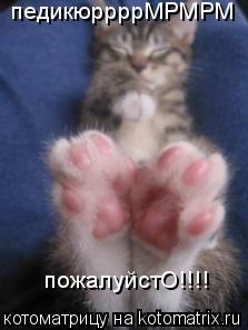 педикюррррМРМРМ пожалуйстО!!!!... Котоматрица: педикюррррМРМРМ пожалуйстО!!!!