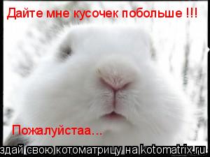 Дайте мне кусочек побольше !!! Пожалуйстаа...... Котоматрица: Дайте мне кусочек побольше !!! Пожалуйстаа...