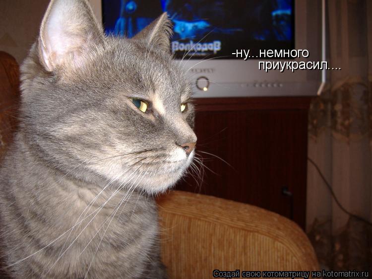 -ну...немного приукрасил....... Котоматрица: -ну...немного приукрасил....