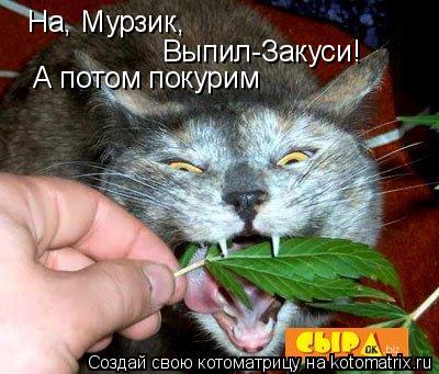 На, Мурзик, Выпил-Закуси! А потом покурим... Котоматрица: На, Мурзик, Выпил-Закуси! А потом покурим