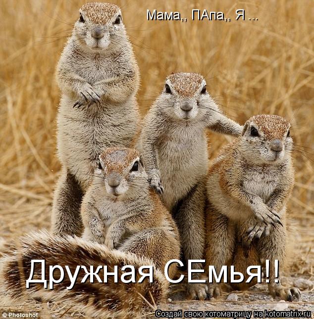 Мама,, ПАпа,, Я ... Дружная СЕмья!!... Котоматрица: Мама,, ПАпа,, Я ... Дружная СЕмья!!