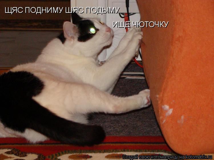 ЩЯС ПОДНИМУ ШЯС ПОДЫМУ ИЩЕ ЧЮТОЧКУ... Котоматрица: ЩЯС ПОДНИМУ ШЯС ПОДЫМУ ИЩЕ ЧЮТОЧКУ