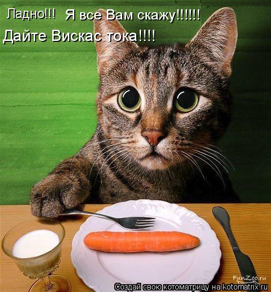 Ладно!!! Я все Вам скажу!!!!!! Дайте Вискас тока!!!!... Котоматрица: Ладно!!! Я все Вам скажу!!!!!! Дайте Вискас тока!!!!