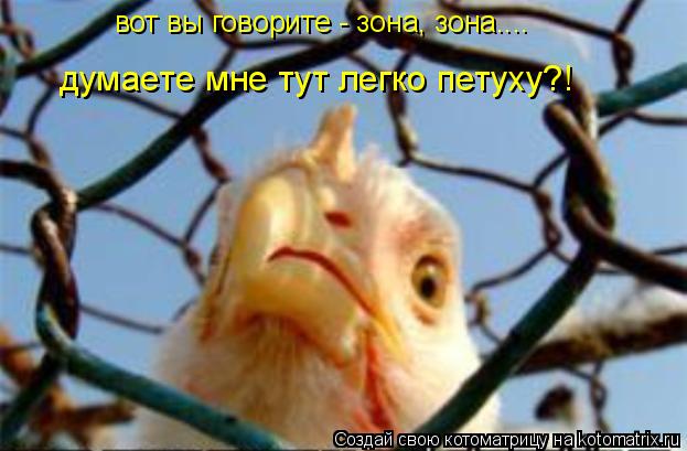 вот вы говорите - зона, зона.... думаете мне тут легко петуху?!... Котоматрица: вот вы говорите - зона, зона.... думаете мне тут легко петуху?!