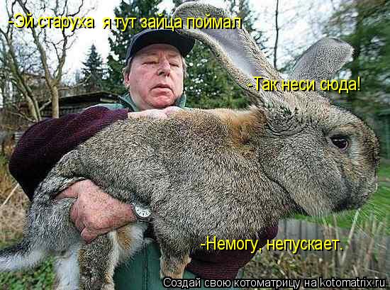-Эй старуха я тут зайца поймал -Так неси сюда! -Немогу, непускает.... Котоматрица: -Эй старуха я тут зайца поймал -Так неси сюда! -Немогу, непускает.