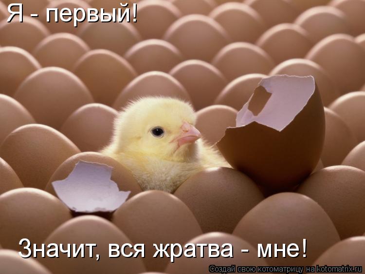 Я - первый! Значит, вся жратва - мне!... Котоматрица: Я - первый! Значит, вся жратва - мне!