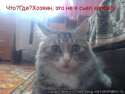 Что?Где?Хозяин, это не я сьел колбасу... Котоматрица: Что?Где?Хозяин, это не я сьел колбасу