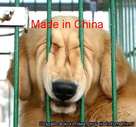 Made in China... Котоматрица: Made in China