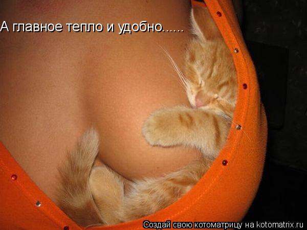 А главное тепло и удобно......... Котоматрица: А главное тепло и удобно......