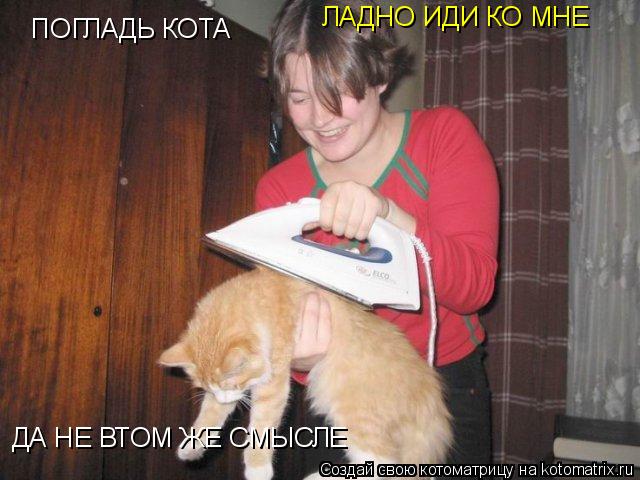 ПОГЛАДЬ КОТА ЛАДНО ИДИ КО МНЕ ДА НЕ ВТОМ ЖЕ СМЫСЛЕ... Котоматрица: ПОГЛАДЬ КОТА ЛАДНО ИДИ КО МНЕ ДА НЕ ВТОМ ЖЕ СМЫСЛЕ