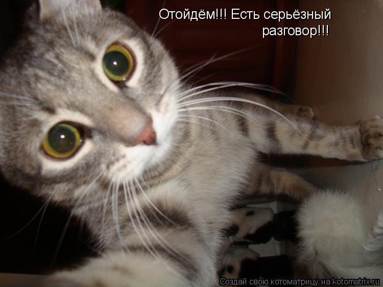 Отойдём!!! Есть серьёзный разговор!!!... Котоматрица: Отойдём!!! Есть серьёзный разговор!!!