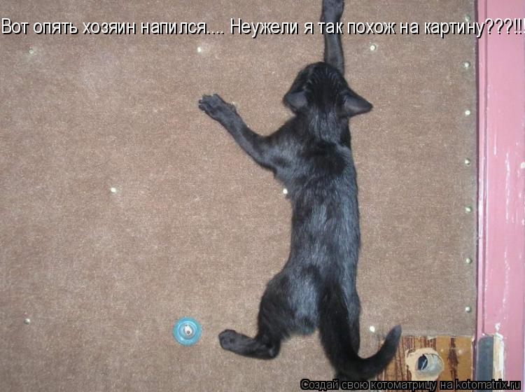 Вот опять хозяин напился.... Неужели я так похож на картину???!!!... Котоматрица: Вот опять хозяин напился.... Неужели я так похож на картину???!!!