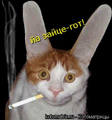 йа зайце-гот!... Котоматрица: йа зайце-гот!