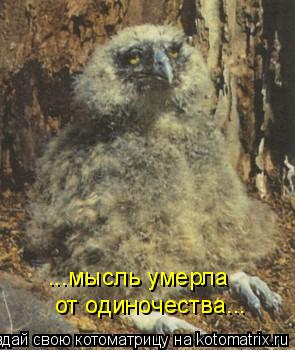 ...мысль умерла от одиночества...... Котоматрица: ...мысль умерла от одиночества...